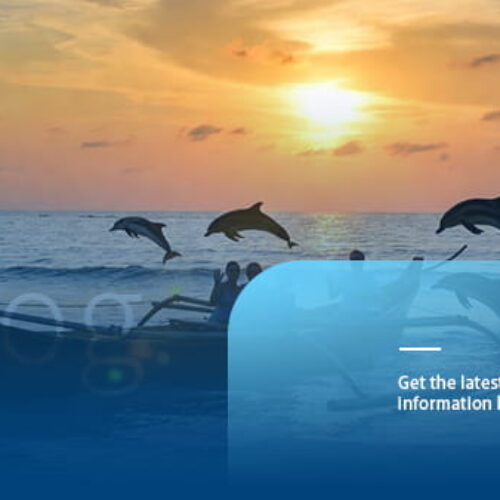 Artikel PT Bali Ekstrimindo Adventure 2